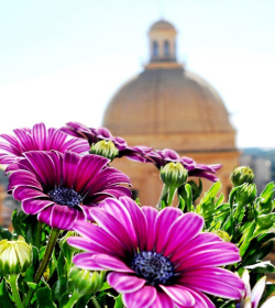 Il Castello Noto